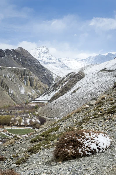 Primavera en las montañas del Himalaya — Foto de Stock