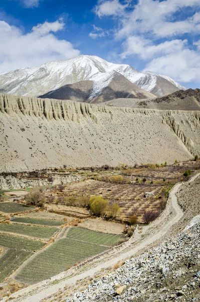 Spring panorama of Himalaya — Stock Photo, Image