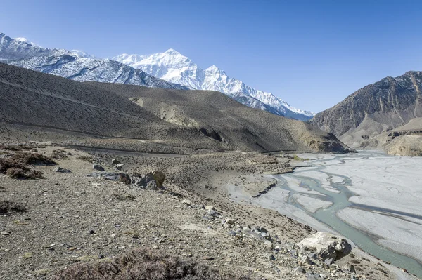 Frühlingslandschaft des Himalaya — Stockfoto