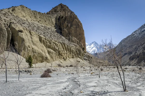 Paesaggio roccioso in Himalaya — Foto Stock
