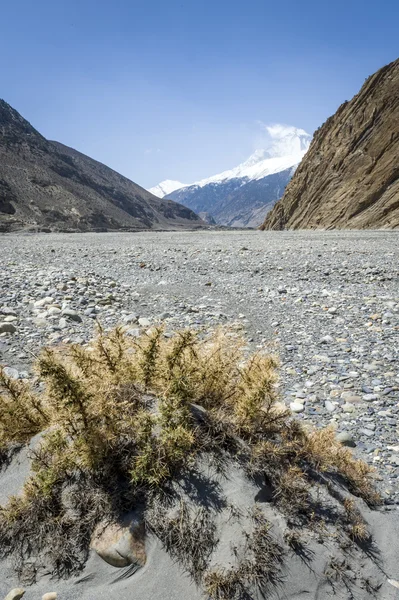 在喜马拉雅山中的空河床 — 图库照片