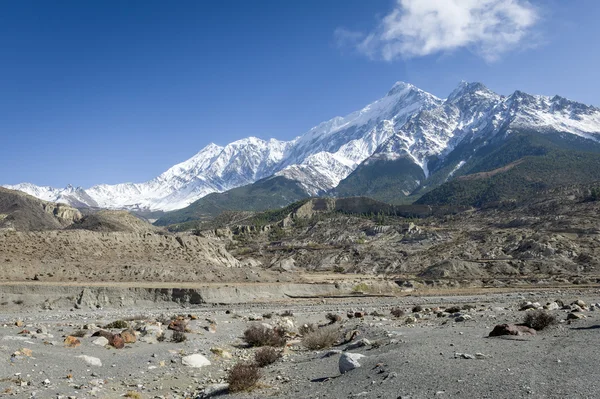 Montañas del Himalaya durante la primavera — Foto de Stock