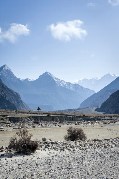 Montañas del Himalaya con árbol lonley —  Fotos de Stock