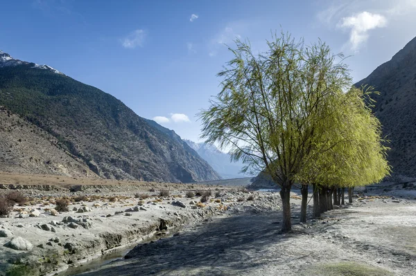 Гималайский пейзаж с зелеными деревьями — стоковое фото