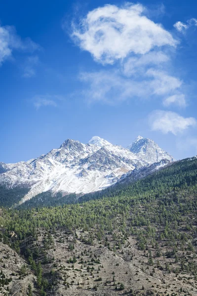 Primavera in Himalaya montagne — Foto Stock