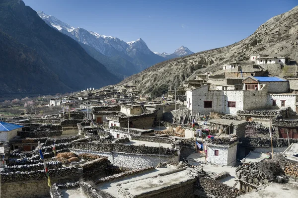 Himalayan by i nepal — Stockfoto