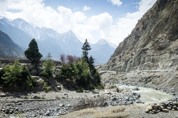 Rivierbedding in himalaya mountains — Stockfoto