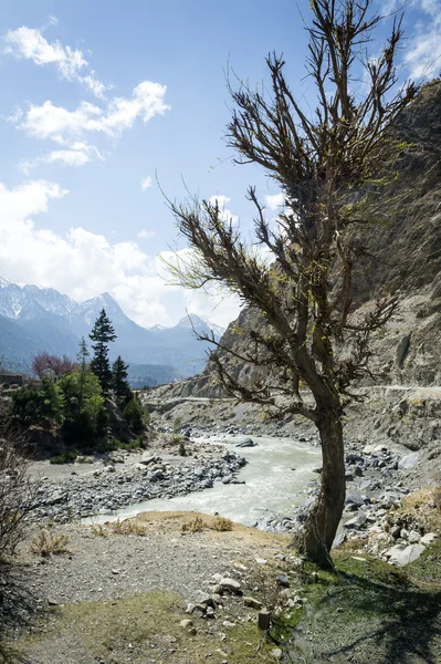 Himalaya Dağları'nda boş nehir yatağı — Stok fotoğraf