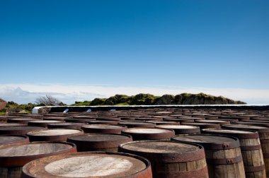 Whisky barrels clipart