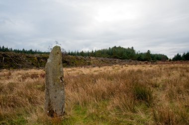 Standing stone and field clipart