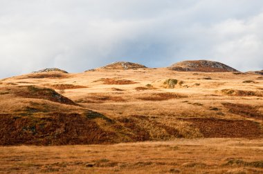 Jura hillside