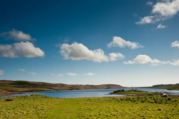 Eilean Mor Loch Finlaggan — Photo