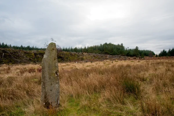 Standing stone and field — Stock Photo, Image