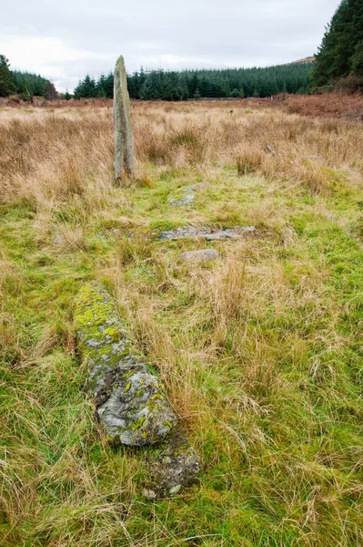 Pedra e campo em pé — Fotografia de Stock
