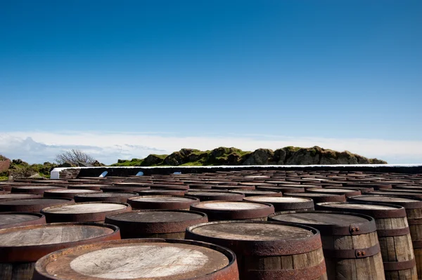 Barriles de whisky Imagen de archivo