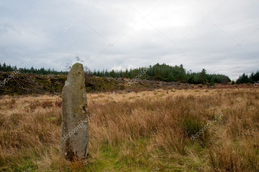 Standing stone and field