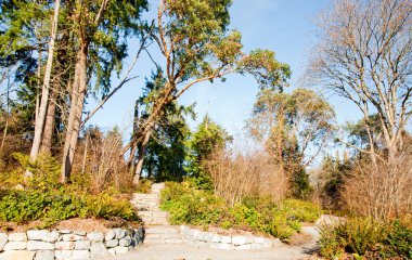 Park adımlar ve yol