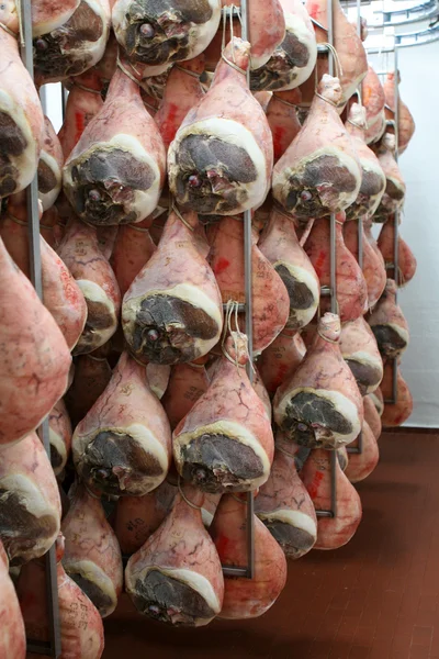 Parma Ham secagem — Fotografia de Stock