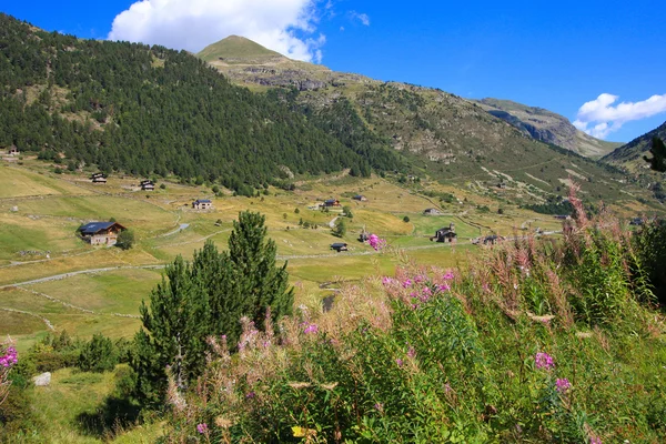 Andorra — Stok fotoğraf