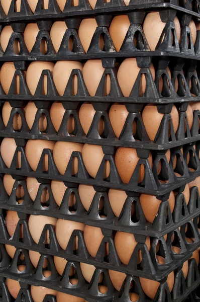 Яєчні ряди візерунок коробка їжі фону — стокове фото