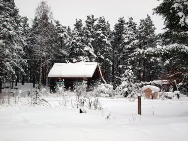 kış evi