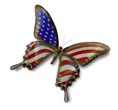 USA flag on butterfly clipart