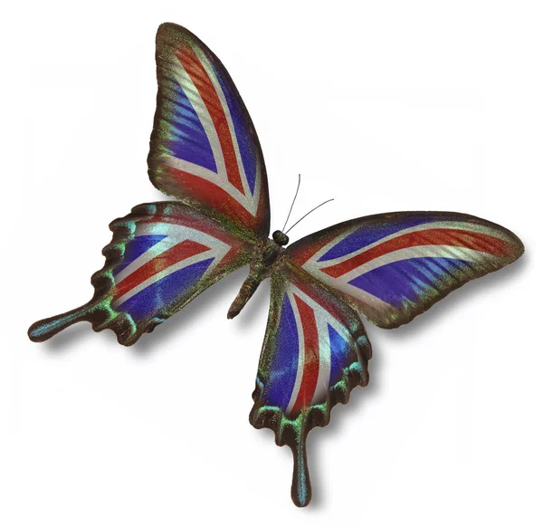 英国国旗上的蝴蝶 — 图库照片