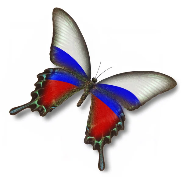 Ryska flaggan på butterfly — Stockfoto
