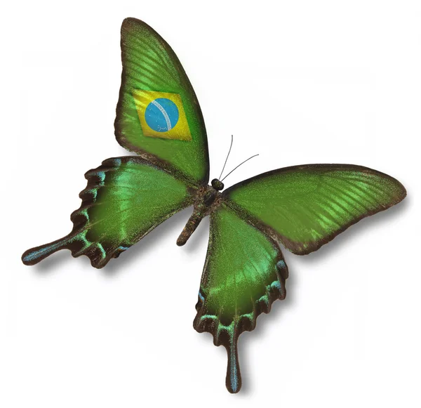 Флаг Бразилии на бабочке — стоковое фото