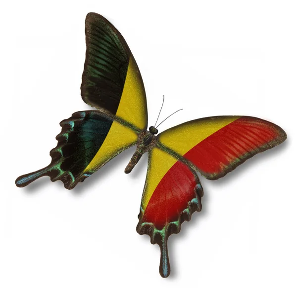 나비에 벨기에 깃발 — 스톡 사진