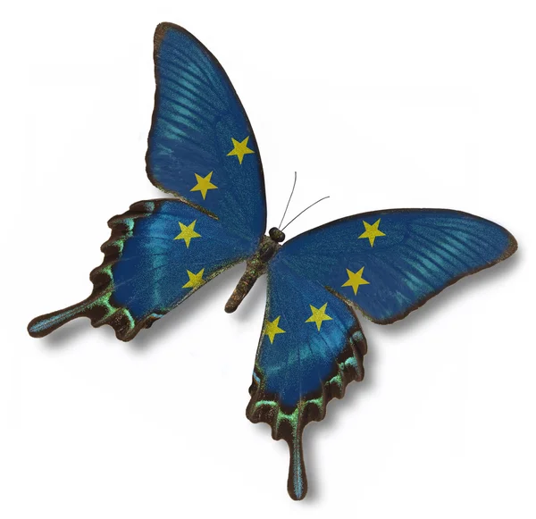 stock image European Unity flag on butterfly