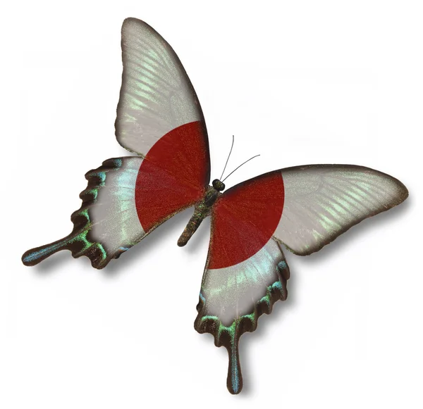Drapeau japonais sur papillon — Photo