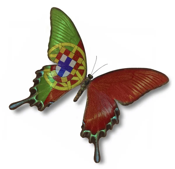 葡萄牙国旗上蝴蝶 — 图库照片