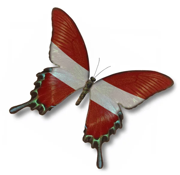 蝶にオーストリアの国旗 — ストック写真