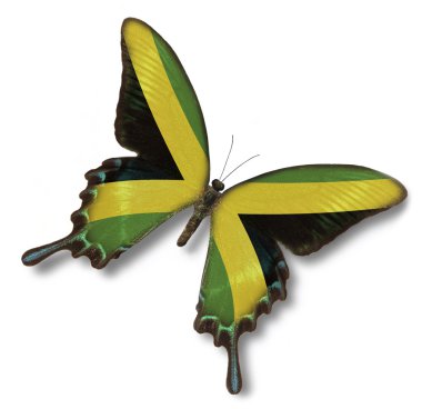 Jamaica flag on butterfly clipart