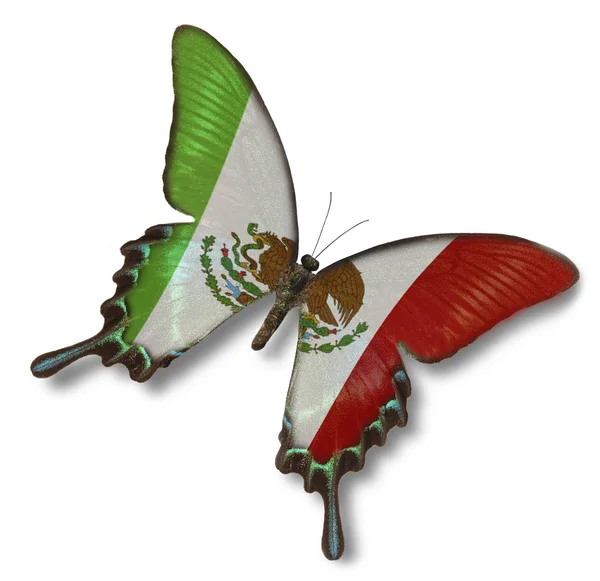 Mexican flag on butterfly — Stock Photo, Image