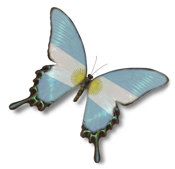 Argentina flag on butterfly — Stock Photo, Image