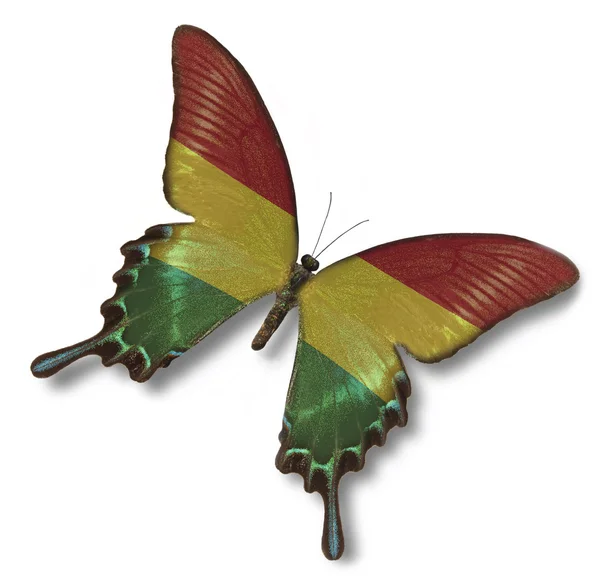 玻利维亚国旗上蝴蝶 — 图库照片