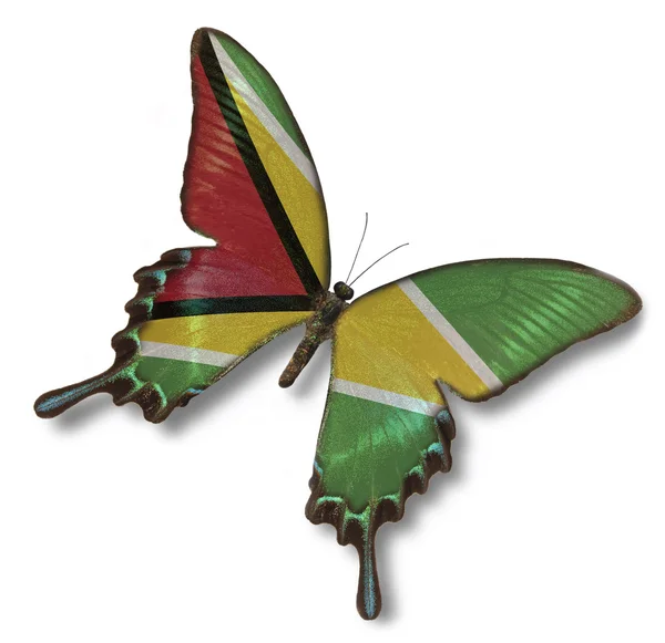 Gyana flag on butterfly — Stock Photo, Image