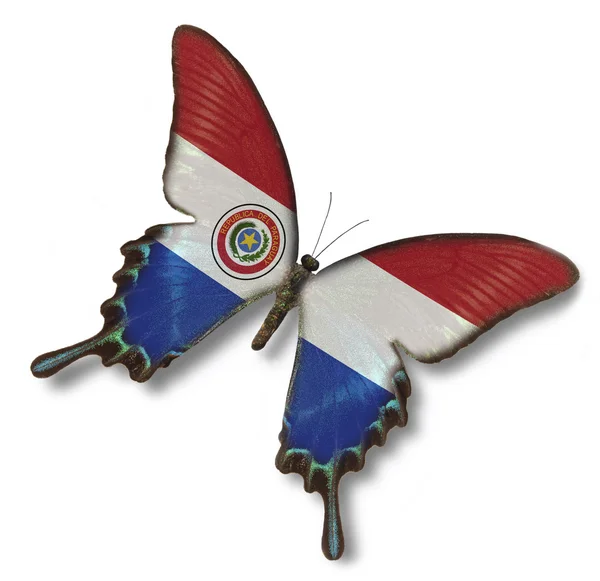 Vlajka Paraguaye na motýla — Stockfoto