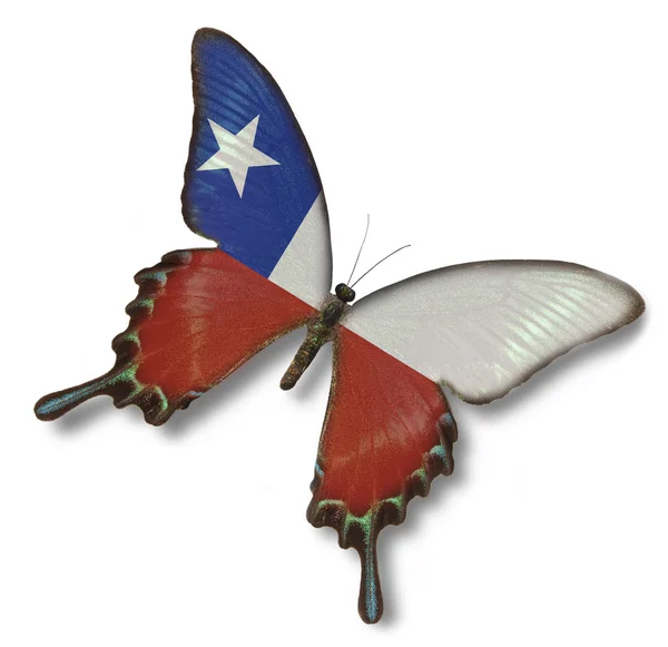 Cile bandiera sulla farfalla — Foto Stock