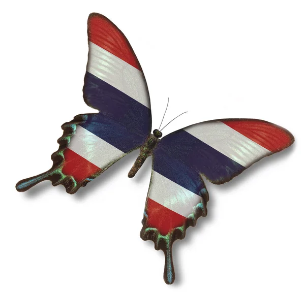 나비에 태국 국기 — 스톡 사진