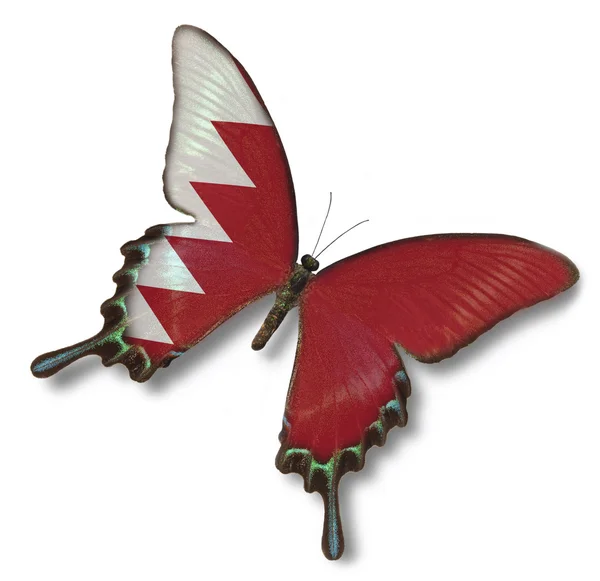 Бахрейнский флаг на бабочке — стоковое фото