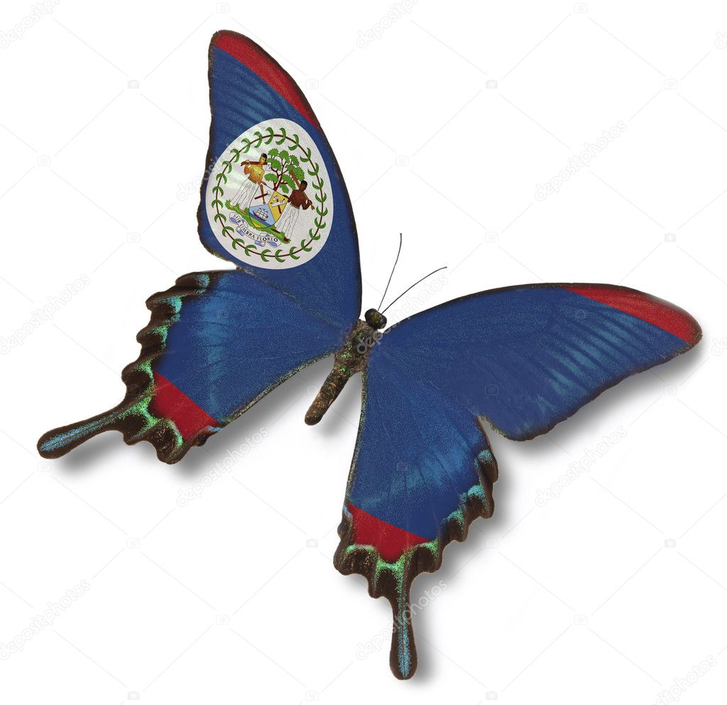 Belize flag on butterfly