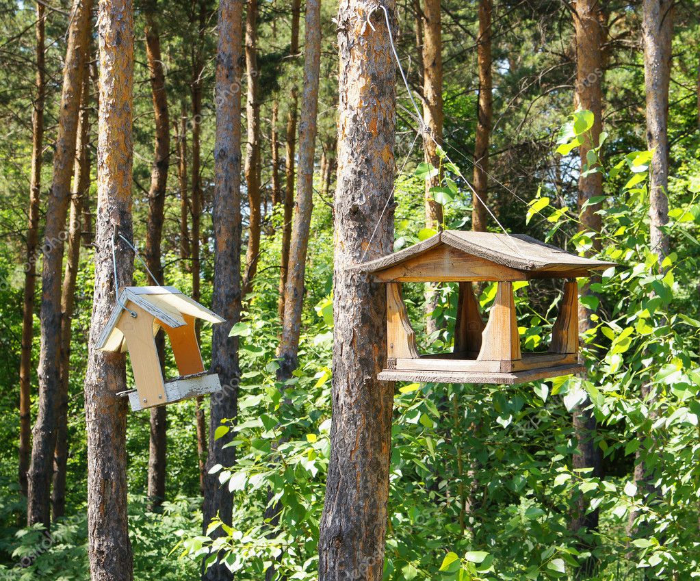 voeding voor bomen voeding voor bomen