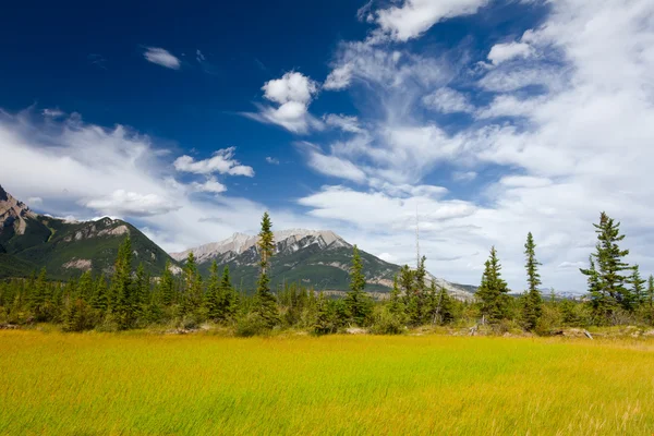 Beautiful Canadian Landscape — Stock Photo, Image