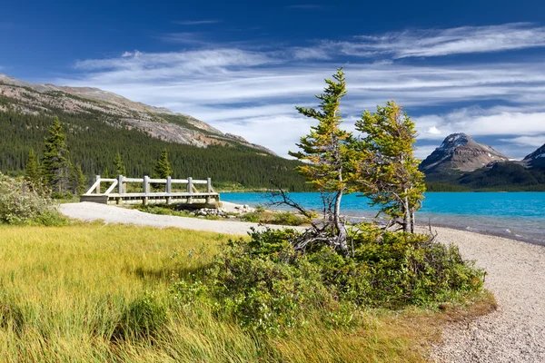 Vackra kanadensiska landskap, banff national park, alberta, Kanada — Stockfoto