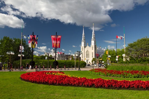巴黎圣母院大教堂大教堂，渥太华加拿大 — 图库照片