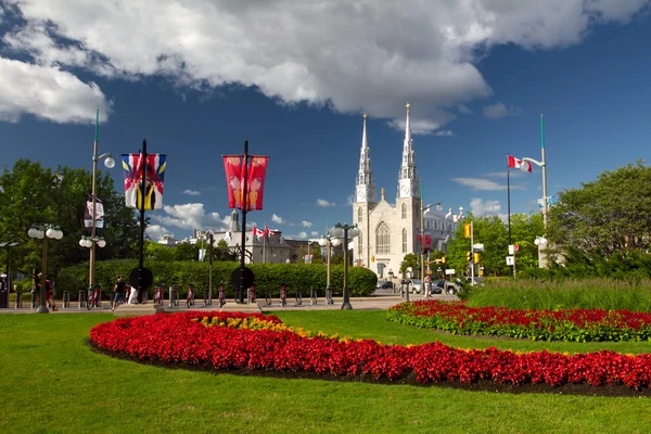 Katedrální Bazilika Notre dame, ottawa, Kanada — Stock fotografie