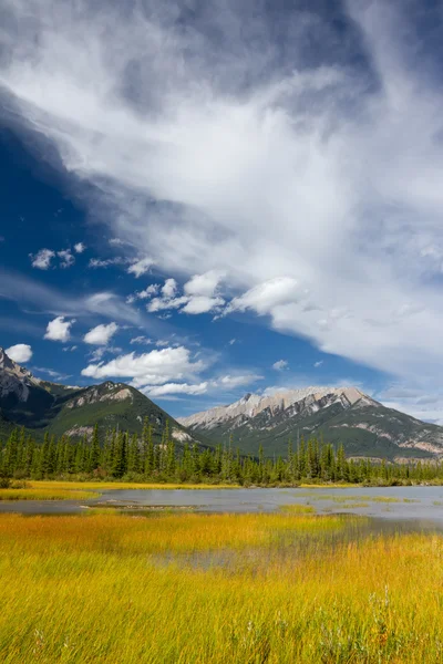 Красивый канадский пейзаж Стоковое Фото